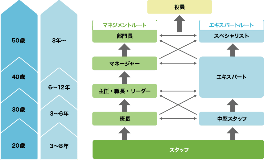 キャリアプラン